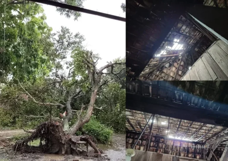 Angin Puting Beliung Terjang Kangkung, Pohon Tumbang dan Genting Rumah Warga Berjatuhan