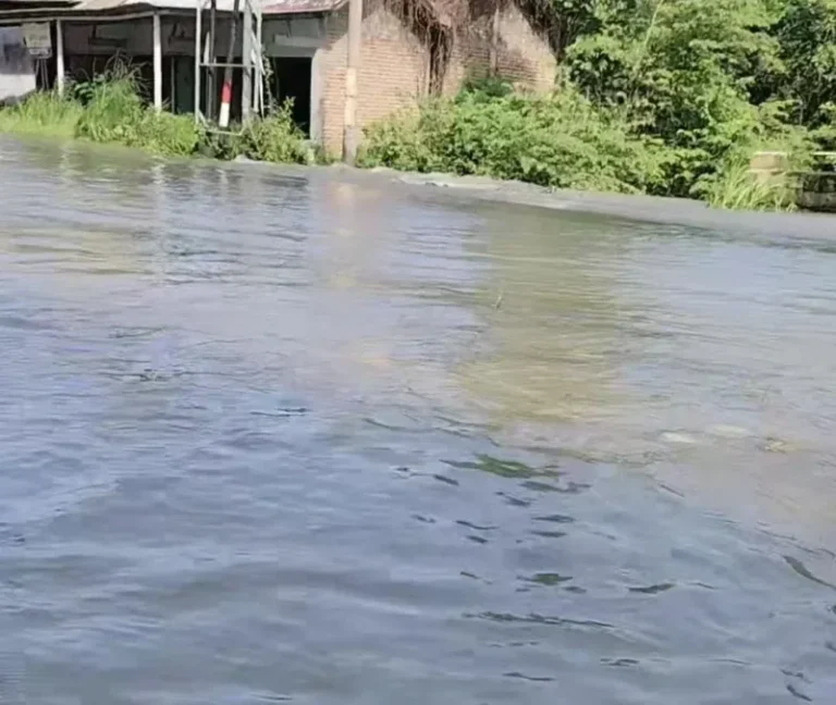 Luapan Sungai Kali Lamong Sebabkan Kecamatan Benjeng Gresik Terendam Banjir