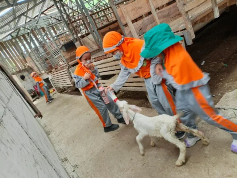 Seru! Siswa SD ‘Aisyiyah SBH Jelajahi Sentra Susu Kambing Sukam Mranggen