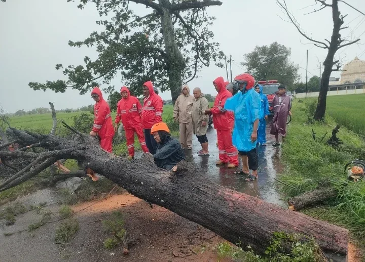 Angin Kencang Ngamuk di Kendal, Pohon Tumbang di 8 Kecamatan!