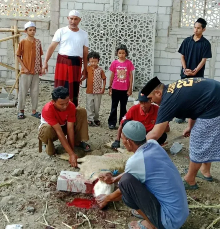 Abuya Al Habib Muhammad Firdaus bin Masyhur Al Munawwar (berkaos putih/sarung merah) memantau langsung prosesi penyembelihan hewan kurban bersama para santri dan warga di Ponpes Darul Muqorrobin, Sijeruk, Kendal, Rabu (27/05).