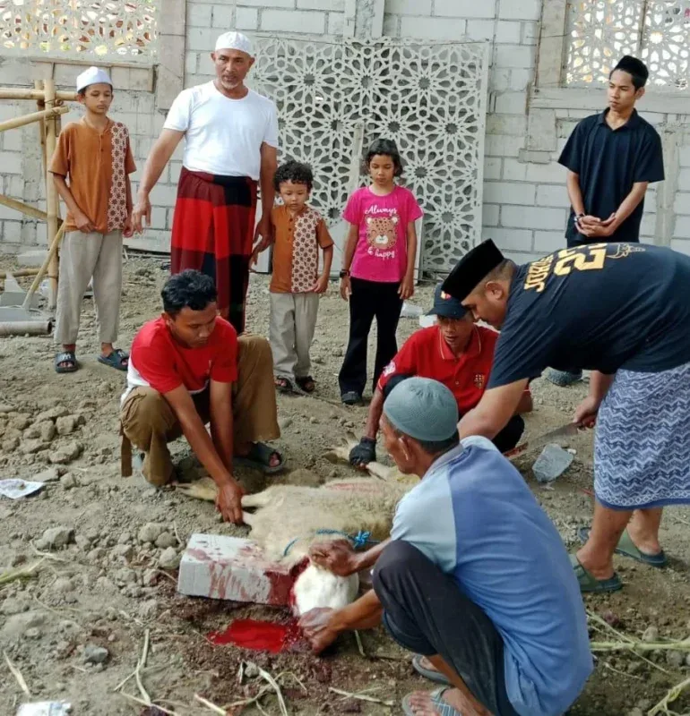 Abuya Al Habib Muhammad Firdaus bin Masyhur Al Munawwar (berkaos putih/sarung merah) memantau langsung prosesi penyembelihan hewan kurban bersama para santri dan warga di Ponpes Darul Muqorrobin, Sijeruk, Kendal, Rabu (27/05).