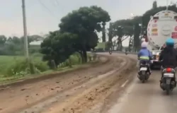 Dampak Tambang Galian C Kendal: Jalan Rusak dan Keresahan Warga