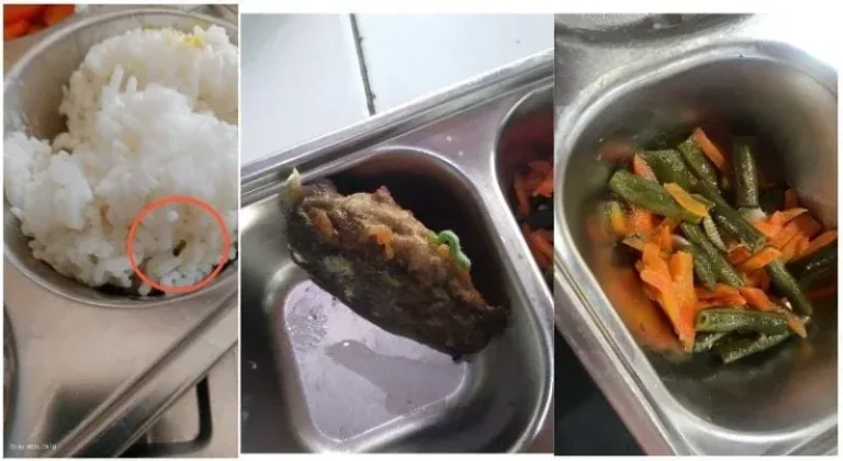 Menu Makan Bergizi Gratis (MBG) yang didistribusikan kepada siswa di Desa Penjalin, Kecamatan Brangsong, Kabupaten Kendal, menjadi sorotan setelah ditemukan ulat selama dua hari berturut-turut.
