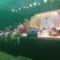 Ribuan Jamaah Padati Merti Desa Tlahab Gemuh, Simak Pesan Mendalam KH Anwar Zahid