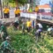 Karya Bhakti Kendal Libatkan 254 Orang, TNI-Polri dan Warga Bersihkan Bantaran Kali